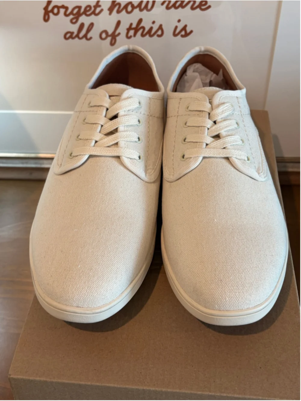 Steve Madden Fenta Canvas Sneakers Men's Size 12 Cream Fabric NIB New In Box